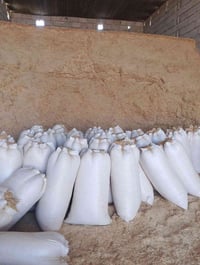 تبن للبيع حجم الكيس 55 تبن السنه مال دراسه واصل للبيت  اتصل  078859105...