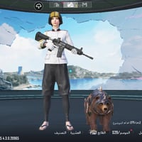 حساب ببجي • مستوى 74 • 20 سلاح