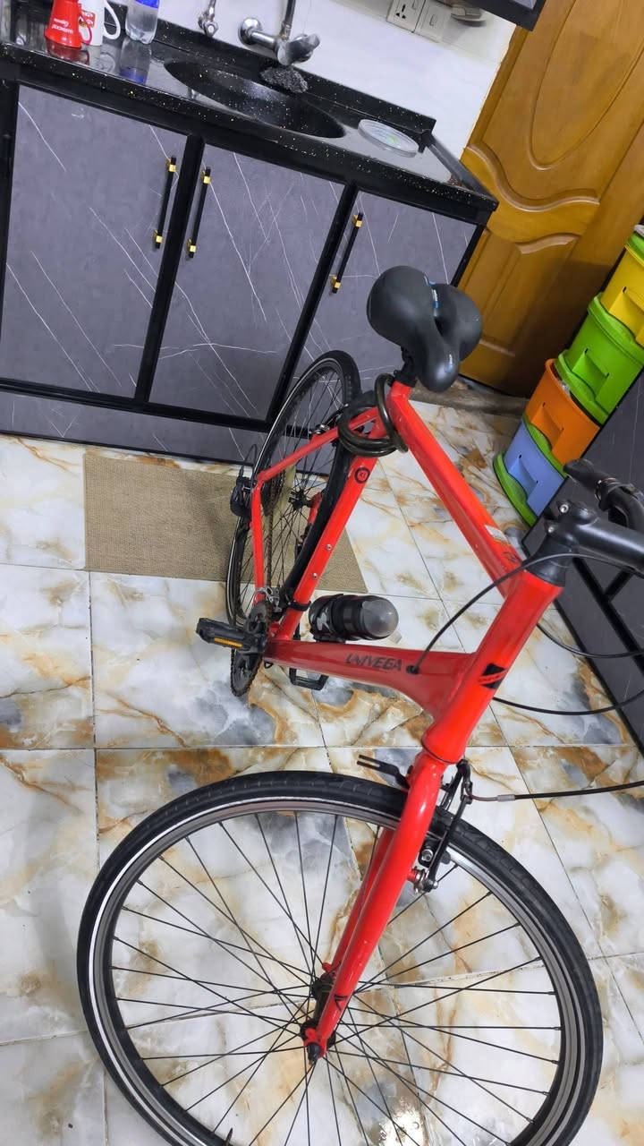 السعر واتس اب
*********** السعر يخبل
