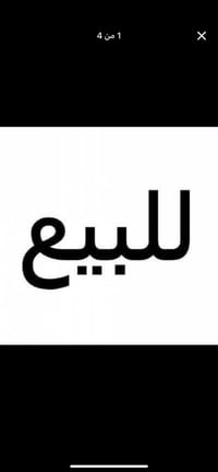الشعيبة • بستان ٧ دوانم • ٢٥٠ نخلة