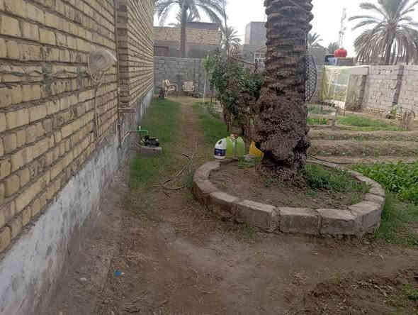 سلام عليكم يتوفر قطع ارض مساحتها ٦٠٠متر جنس الأرض ملك صرف زراعي حق التصرف موقع مميز مشيد عليهى هيكل مسقف مئسس ماء كهرباء مجاري كافت الخدمات متوفره يبعد عن شارع ٣٠متر  سعره مناسب تسليم مفتاح  مع ديكورات مغربيه سعره ١٤٥مليون  العنوان أثار بابل منطقة برنون حي المرتضى شار الصيدلي رقم الهاتف *********** حلة
