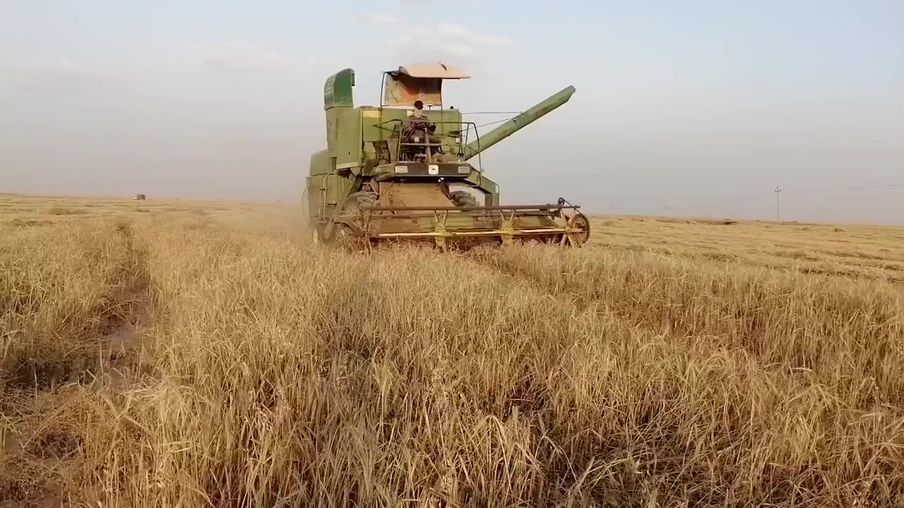 حاصدة جوندير موديل 80
مكينة شرط 
للاستفسار الاتصال على الرقم ***********
