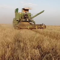 حاصدة جوندير موديل 80 مكينة شرط  للاستفسار الاتصال على الرقم 075185343...