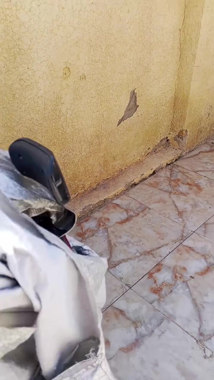 دراجة شحن للبيع


**إذا كنت صاحب هذا الإعلان وتريد حذفه لأي سبب، رجاءا أرسل رسالة إلى الدعم الفني**