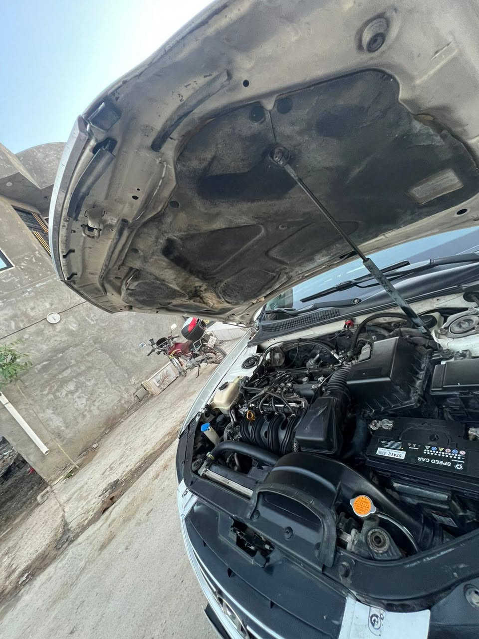 سلام عليكم
سوناتا موديل 2009رقم اربيل بسمي تحويل مباشر سنويه للغا 28هزه جديده فحص كله جديد 
السياره وارد خليجي بيه طخه كلش بصيطه بخشم جاملق امامي فقط بدون دواخل شرط بيه 4قطع رش اثر تكشير فقط بدون حادث شرط بدون تبديل لليبل واحد سياره السياره كير جديده مكينه جديده حجم المكينه4سلندر بدون لا بخار ولا تنقيص سياره مكانيك كله كفاله السياره تبريد ثلج تخم تاير حداديه جديده صدر كامل السياره مال سياره شاشه كشن جلد تبريد 🎹 السياره نضيفه حيل السعر (83)وبيه مجال حك الجيه رقم صاحب السياره ***********مكاني ديالى بعقوبه
