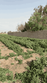 السلام عليكم 2 دونم للبيع على شارعين كل الخدمات متوفره البيع حسب الطلب 
***********
