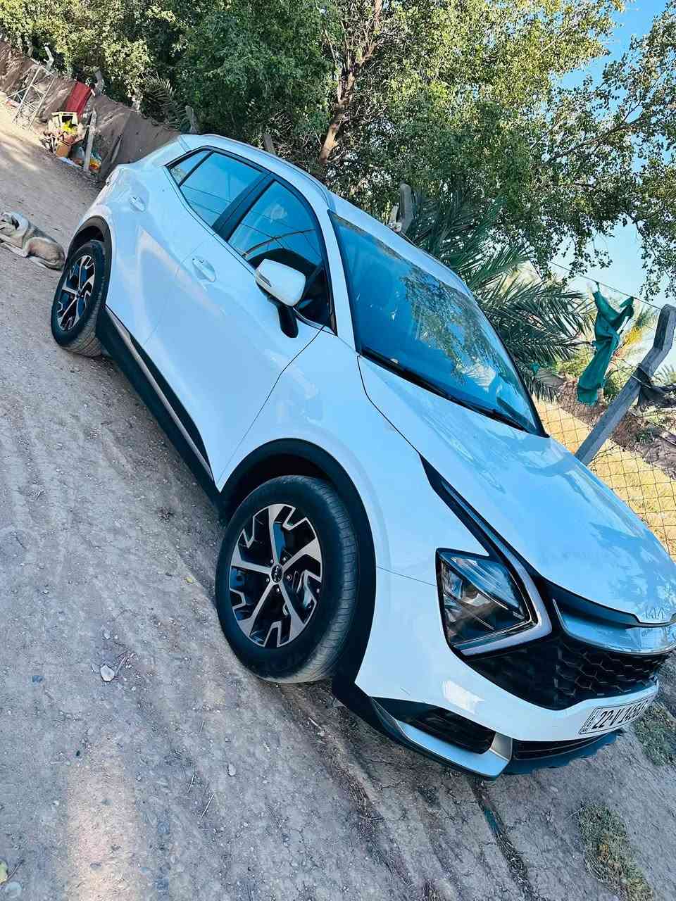 السلام عليكم ورحمه الله وبركاته
🚘كيا سبورتج 2025
🚘ماشيه ٩ الف 
🚘شاشه دجيتل 
🚘محرك 2000
🚘أشاير بلمري 
🚘المري كهرباء شفط
🚘مانع انزلاق
🚘ليد حاجب
🚘بصمه تشغيل عن بعد 
🚘حساسات خلفيه
🚘 ويل كب كروم مضلع
🚘 شفتات بلستيرن
🚘مود درايف 4انضمه
🚘لايت زنون ثلاث عدسات 
🚘رادارات جانبيه 
🚘 عليه ستتم كامل كاربون فايبر 
🚘 لد خلفي لكزز مشفر 

السياره رقمه اربيل تحويل ثاني يوم 
مكاني بغداد المحموديه 

*********** بي واتساب 

السعر 220وبيه مجال
