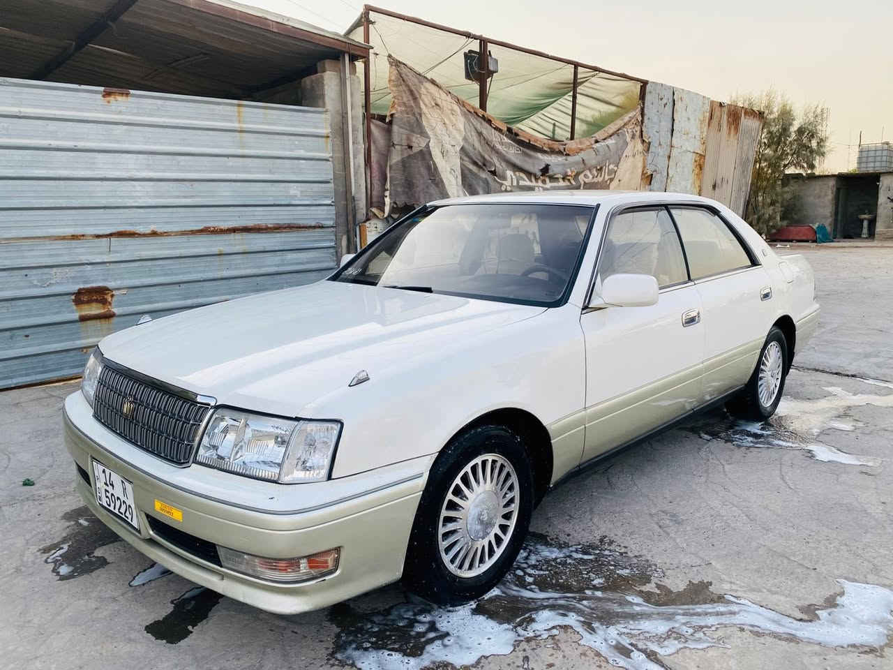 سلام وعليكم راس ثور مكفوله من الكص وضربه نقل جثه فقط رقم بصره إنكليزي سنويه مجدد 2028 مكينه وكير فيفيتي بل كارتون تخم تاير تبريد ثلج سعر 73 رقم الهاتف *********** لعنوان بصره زبير  خوان رجان الي مو شراي لا ينتصل
