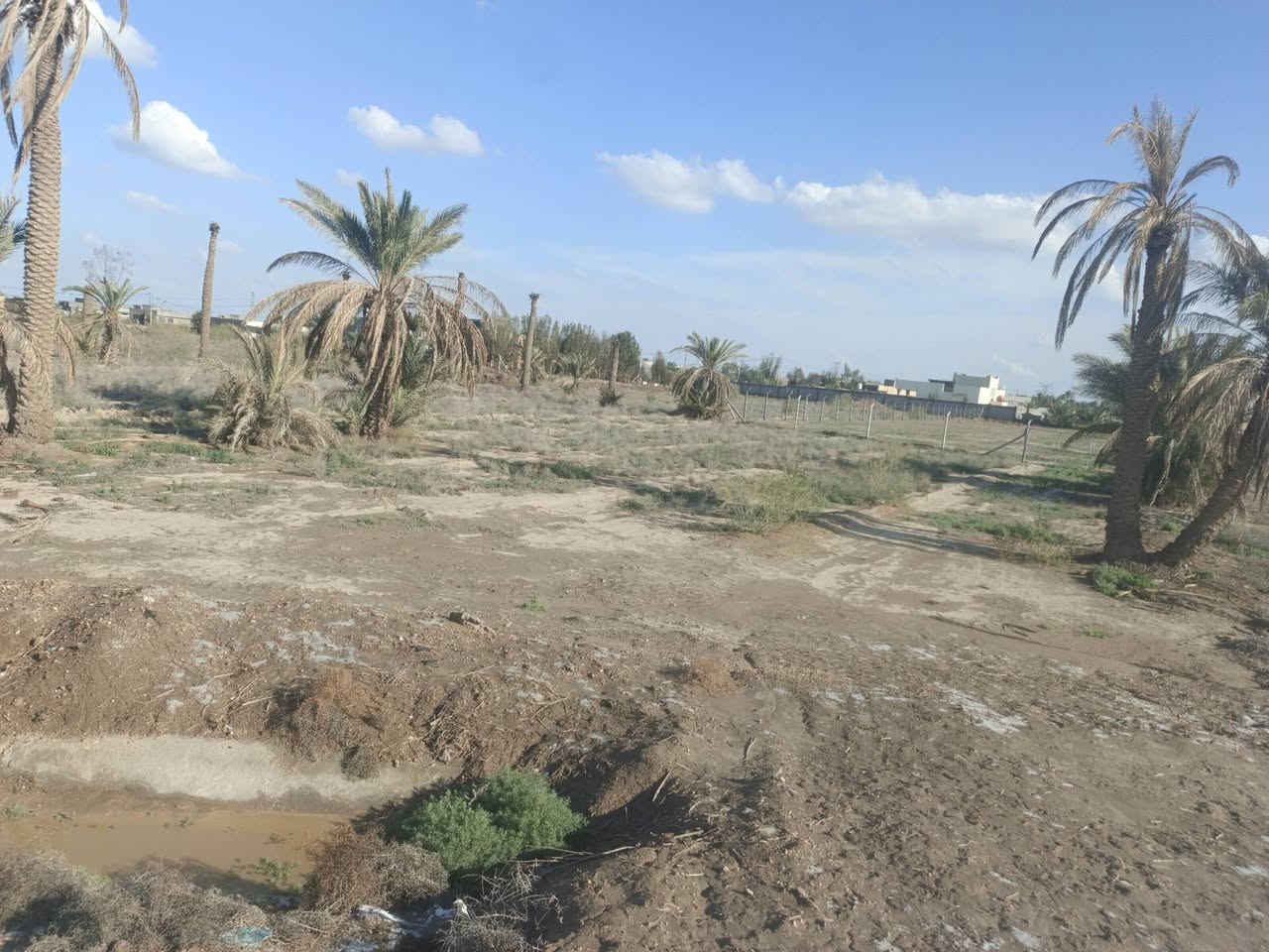 ارض للبيع 

مساحه ١٥٠٠ متر تبعد عن تبليط ٢٠٠ 
بيع مستعجل رقم الهاتف *********** واتساب ***********
كهرباء و مي ساله موجود و ارض سكنيه 
مكان حله خلف جامعة بابل منطقة ابراهيم الخليل
