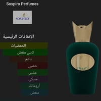 الملك الصيفي • ساسبيرو • تقسيمات