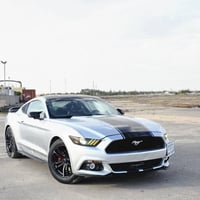 ايكو بوست • ٢٠١٦ • حادث خفيف