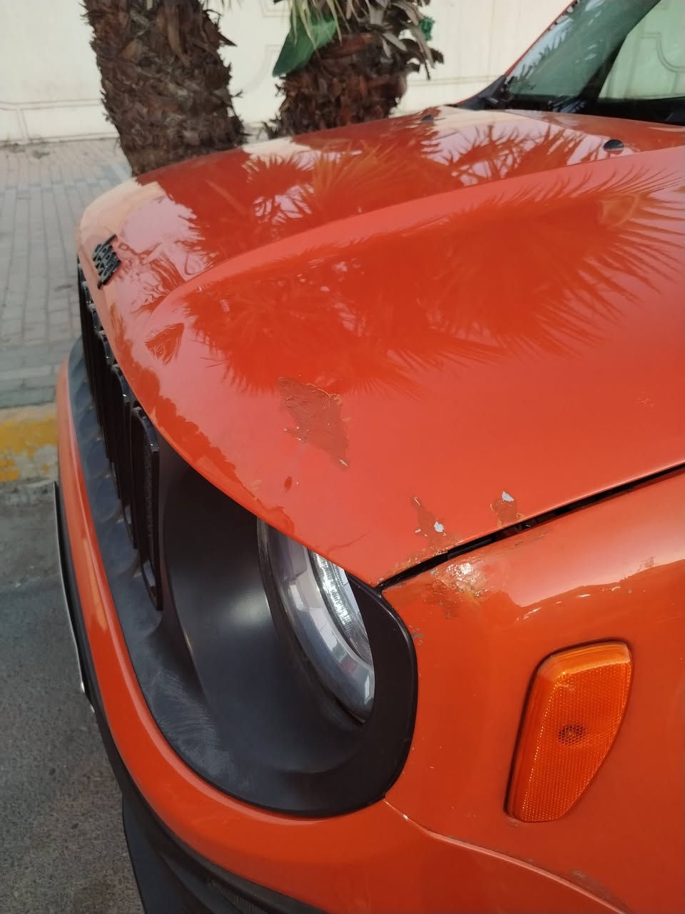 السلام عليكم جيب رانجيد 2017
أعلى فئه سياره تحكم استيرن تدفئه كشنات سايد بريك كهربائي رادارات حساسه شاشه خلفيه مكينه خير من الله 2400 دوش كير 9نمره تخم تايرات جديده السياره مال بيت شاهد الله تجي وتشوف بعينك حادثها بامريكا قطعه صغيره بالبنيد موضح بالصوره وباقي على وضعه قطرة صبغ ماكو العنوان بغداد مدينة الصدر قطاع 25 السعر 110 وبيها مجال حق الجيه للاستفسار الاتصال على الرقم التالي *********** غير متواجد بالفيس
