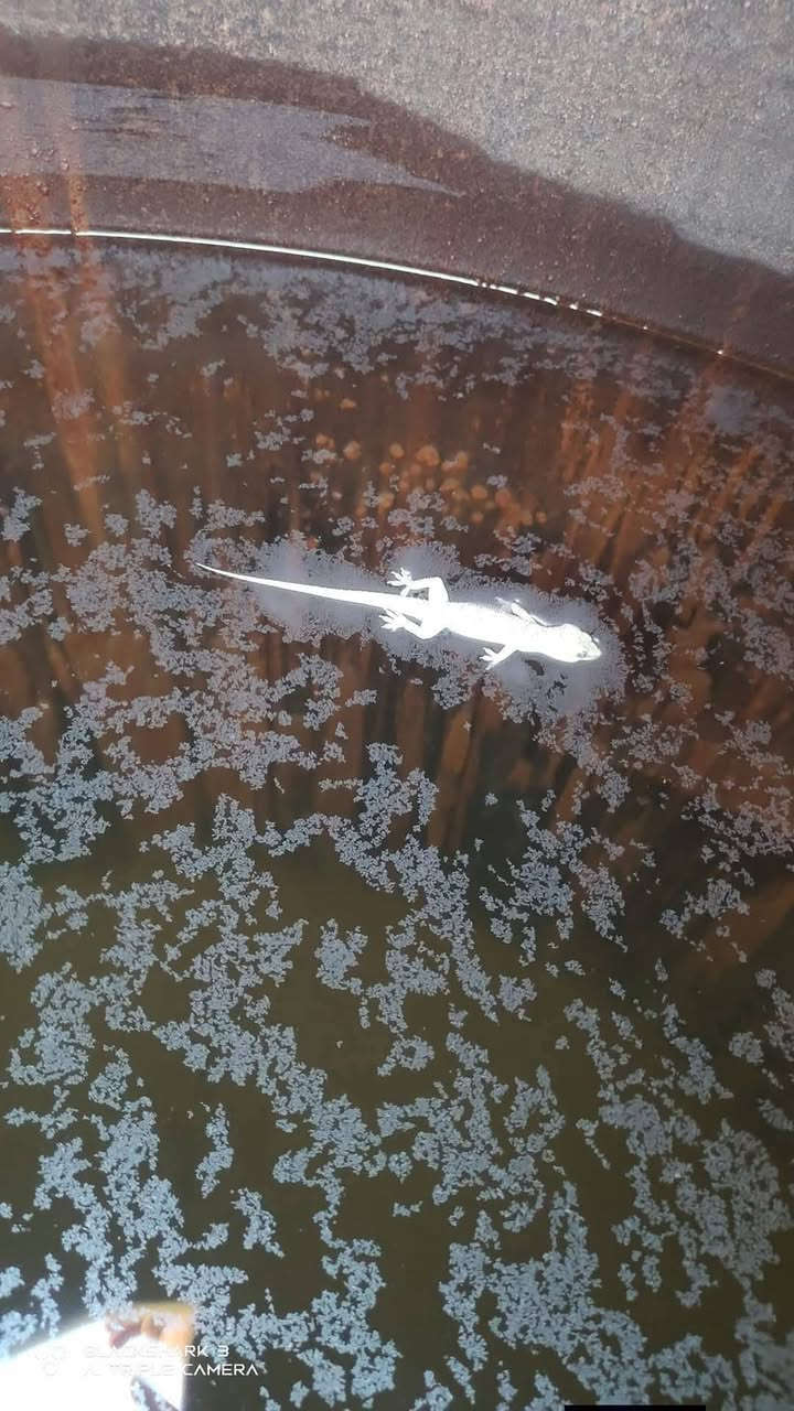 داشکاندێکی گەورە لە %50 داشکاندمان کردوە
لەبەر ئەوەی خەڵک موچەی وەرنەگرتوە پاککردنەوەی تەنکیەکان کارێکی زۆر پێویستە  
***********
***********
سلێمانی و عەرەبەت
