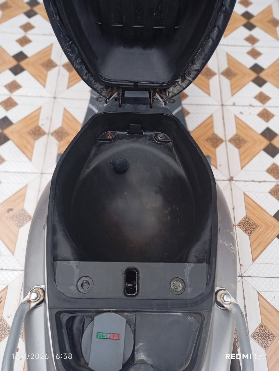 منغولي رمبة للبيع 675 وبيه مجال *********** الحمزة الغربي
