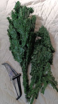 شجرة كرسمس • متر وربع • كربلاء