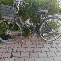 ياباني • حجم ٢٧ • شرط