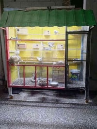 قفص بلابل جديد مستخدم قليل جدا الطول مترين ونصف والعرض 80سنتيم تفصال ح...