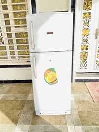 كونكورد • ٢٢ قدم • ضمان سنة