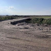 السجر • ٣ دوانم • واجهة ٥٠م