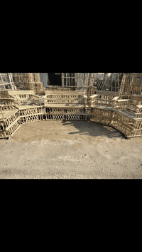 مستلزمات الجريد • كربلاء • مشتل العتبة