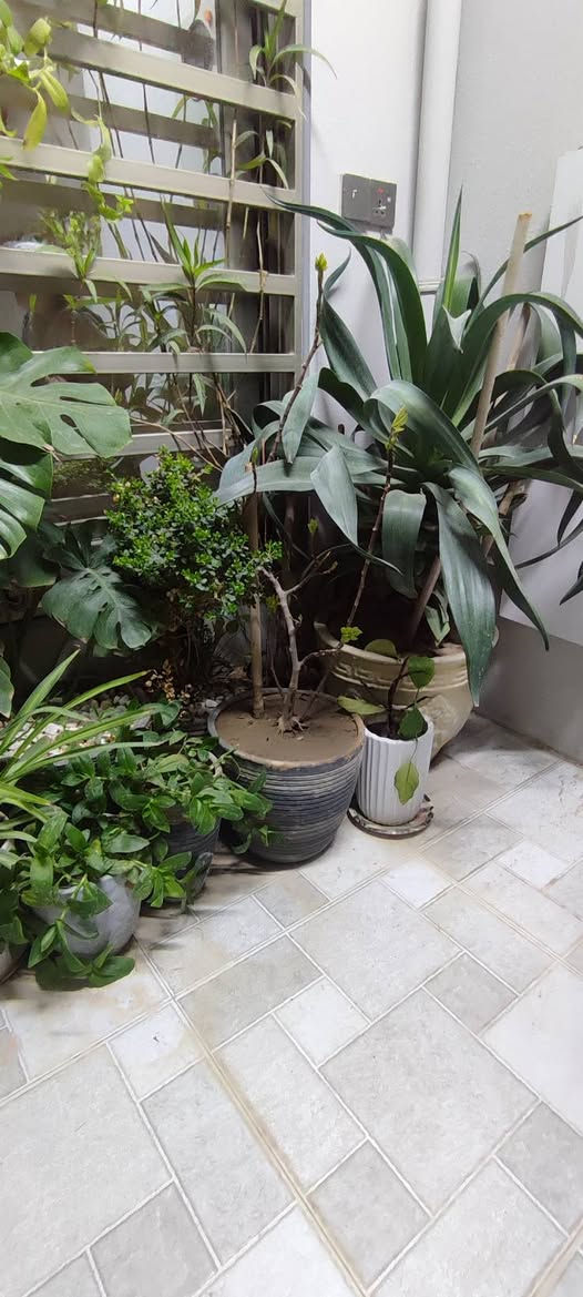 مرحبا عندنا هاي 33 شطل للبيع سعر 125


**إذا كنت صاحب هذا الإعلان وتريد حذفه لأي سبب، رجاءا أرسل رسالة إلى الدعم الفني**