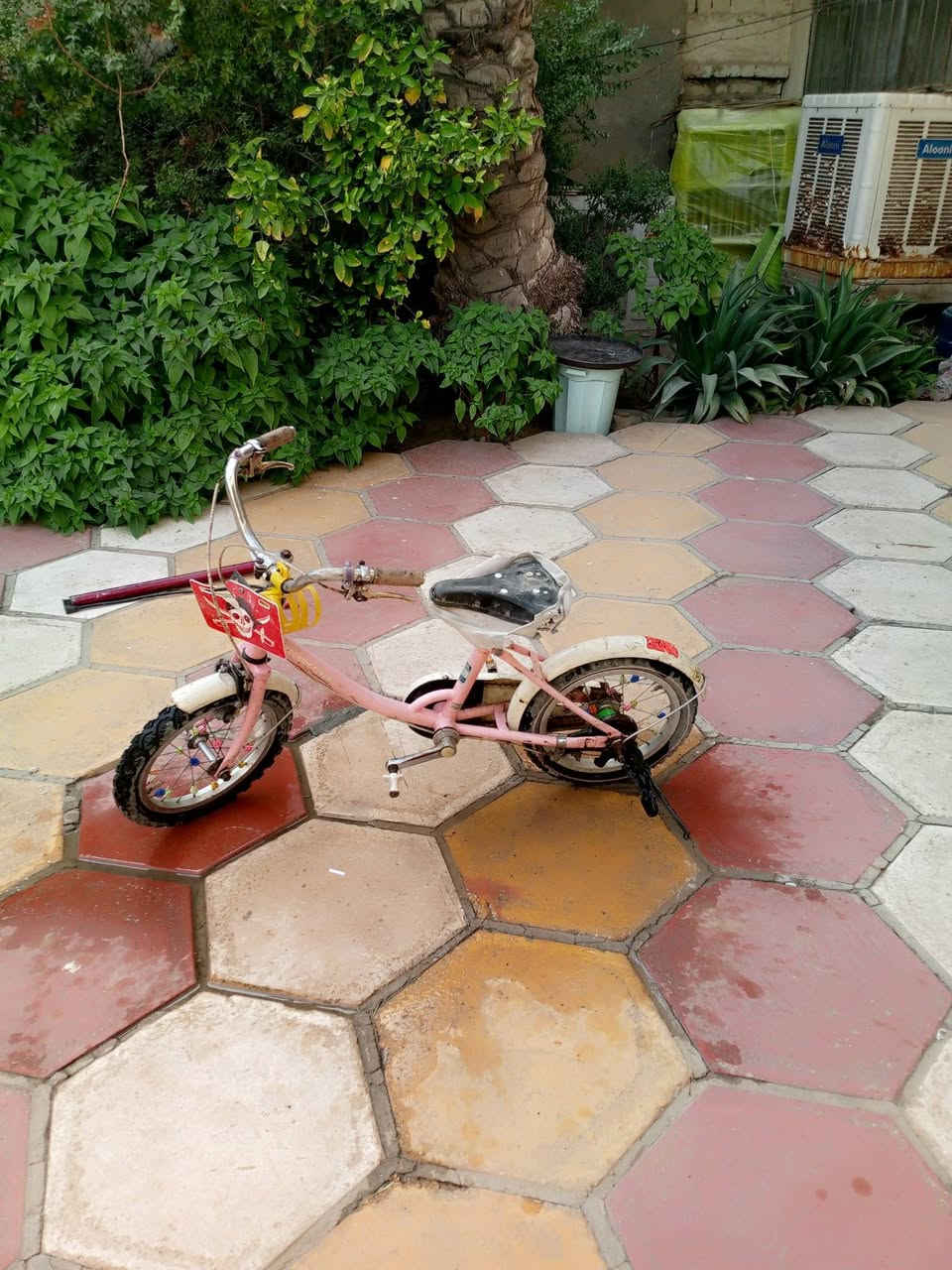 السلام عليكم شباب هذا البايسكل ياباني موديل 2012البايسكل ما شي هواي الموقع جوه


**إذا كنت صاحب هذا الإعلان وتريد حذفه لأي سبب، رجاءا أرسل رسالة إلى الدعم الفني**