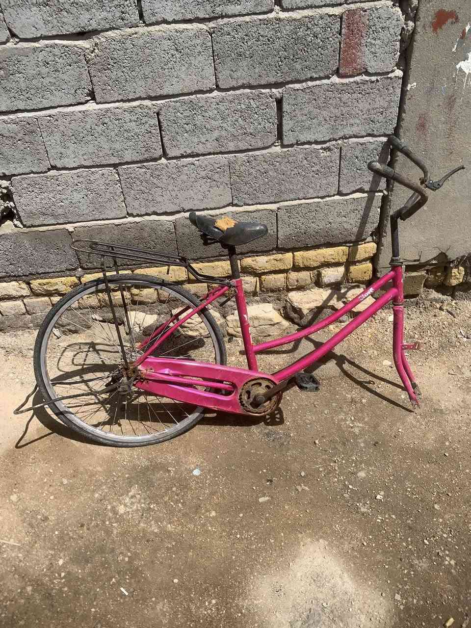 ب30 تعالو اخذو


**إذا كنت صاحب هذا الإعلان وتريد حذفه لأي سبب، رجاءا أرسل رسالة إلى الدعم الفني**