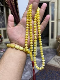 كهرب بولوني حر • ٤٢غرام • ٩٩حبة