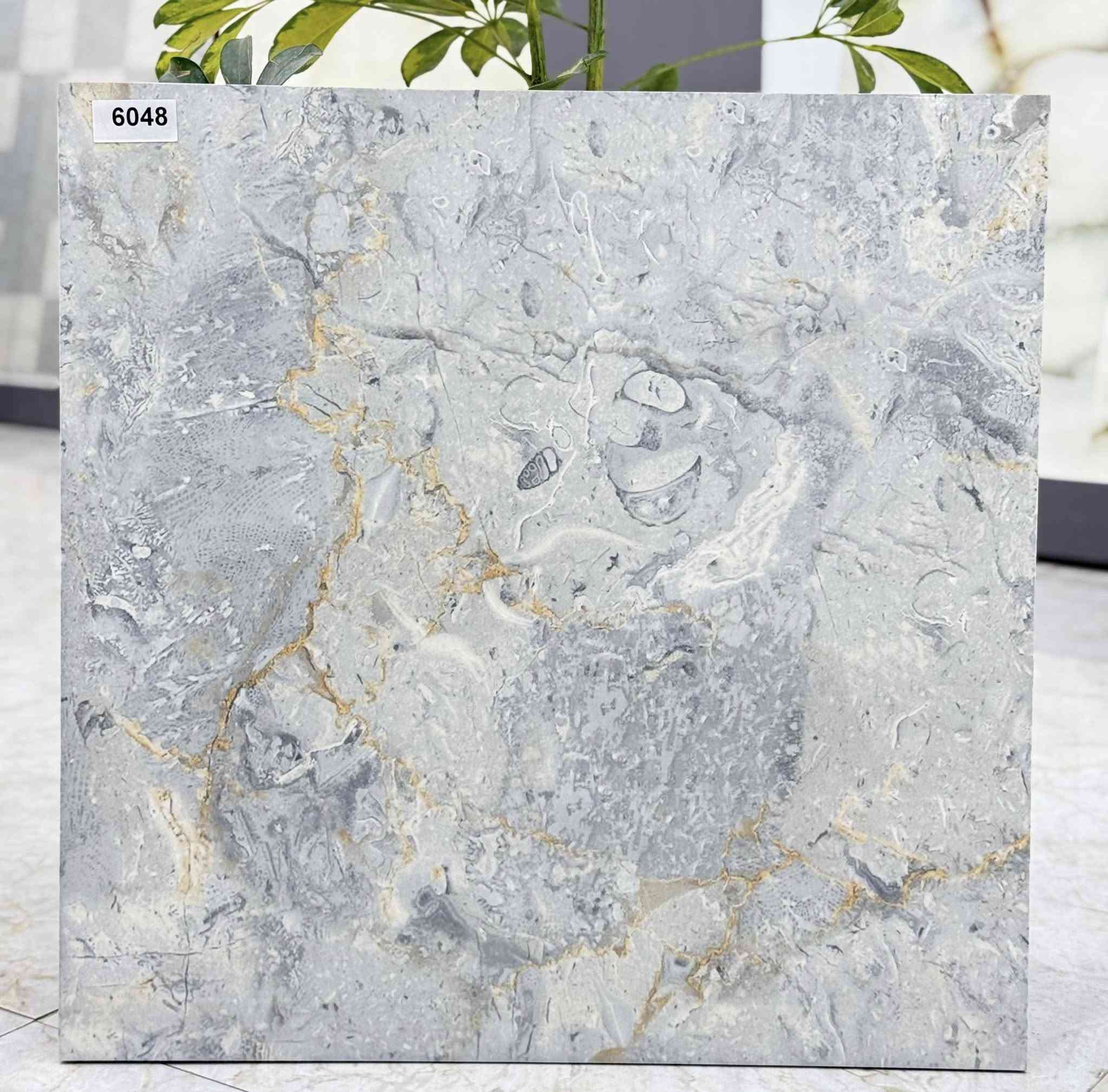 � وصلت بضاعة جديدة ومميزة إلى معرضنا 📢

🔹 أرضيات 45×45 سمك 2سانتيم بجودة عالية وألوان عصرية
🔹 أرضيات 60×60 سمك 14ملم تشكيلة متنوعة ولمعة أنيقة
🔹 سيراميك جدران 30×60 تصاميم حديثة تناسب جميع الأذواق

✅ جودة مضمونة
✅ قياسات دقيقة
✅ أسعار منافسة ومناسبة

زورونا وشاهدوا أحدث الموديلات المتوفرة الآن

#شركة تاج الدين للسيراميك والبورسلين 
ثقتكم هي سر نجاحنا
الموقع الرئيسي :
واسط الحفرية مقابل محطة وقود الحفرية 
الاتصال : 
***********
***********
0771 486 2112
الجملة :
***********
0772 388 2447
0784 589 5436
الفرع الثاني :
بغداد -سريع الغزالية (الخدمي ) مقابل السيطرة
للاتصال :
***********

