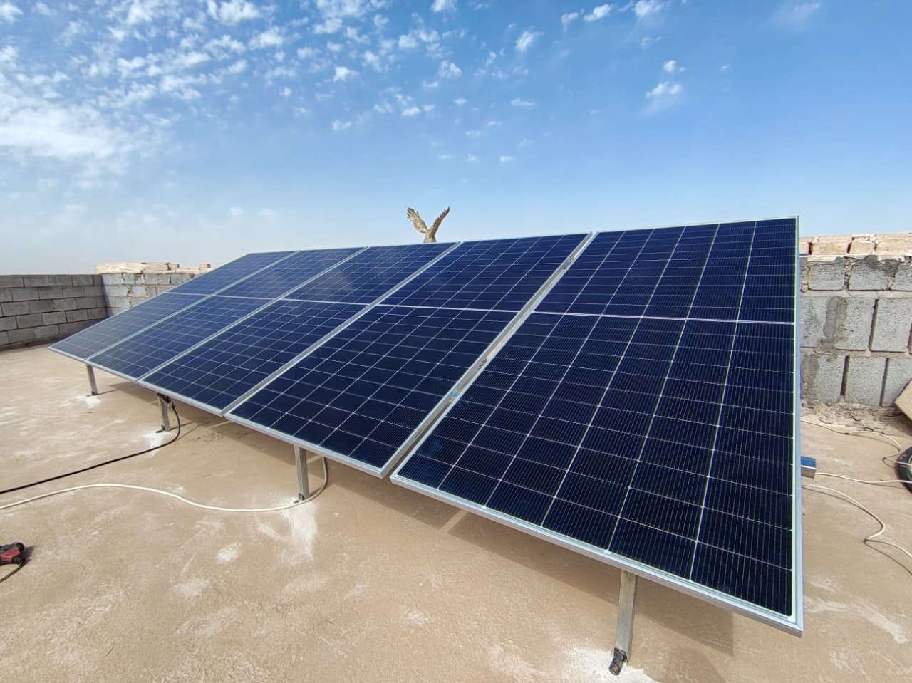 مستمرين بتنصيب الطاقه الشمسيه في القضاء والمحافظه عامه اجود. أنواع البطاريات صناعات ثبتت جدارتها 
وأجود أنواع. الانفيرترات. ولواح. ثبتت جدارتها ايضاً مع ضمانات طويله. وأسعار تنافسيه جداا 
نموذج بمنظومه (10)امبير نهاري (8)ليلي  
بطاريه ليثيوم (10) كيلو 
انفيرتر (6) كيلو  
(5)الواح   درجه اولى  
 للتواصل  (08705077858) 📲
او على حسابي الشخصي  
 نعمل لخدمتكم.  
ومن الله التوفيق


**إذا كنت صاحب هذا الإعلان وتريد حذفه لأي سبب، رجاءا أرسل رسالة إلى الدعم الفني**