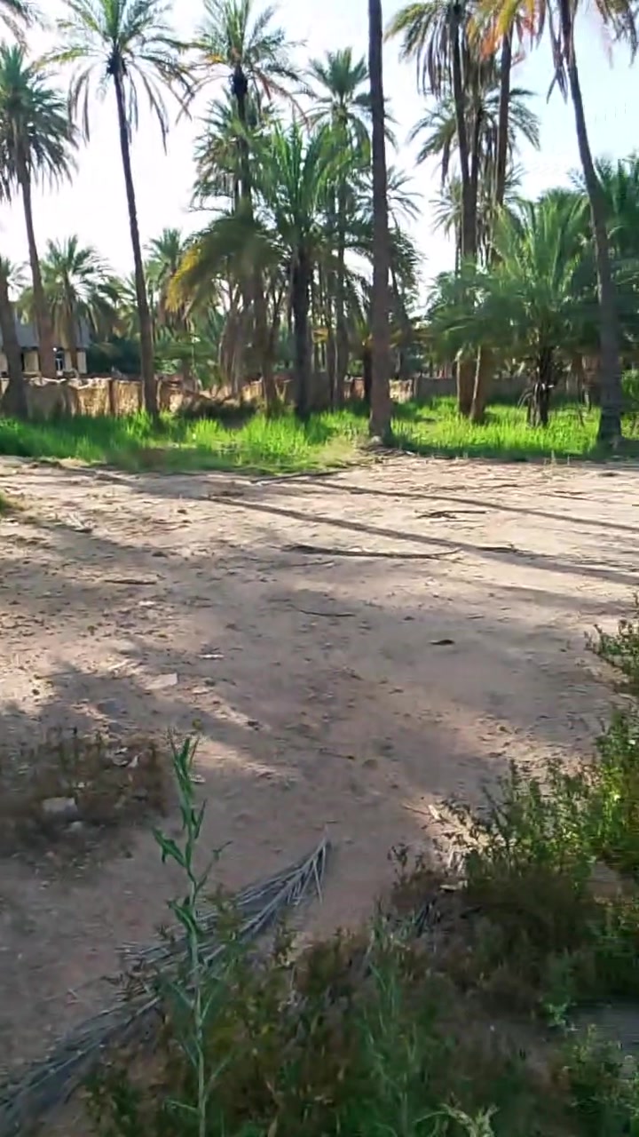 سلام عليكم دونم للبيع كربلاء الحسينيه شارع الامام عون ع سند ٢٥تحويل اسهم سعر ٣٢٥ توجد كافة الخدمات ***********
