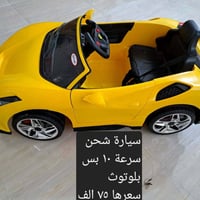 كربلاء • استفسار خاص