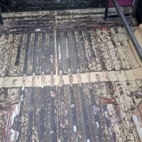 يوآز هانتر • ٢٠٠٥ • تاير جديد