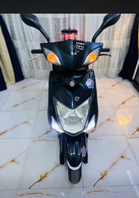 سكنس • ياباني • مكفولة