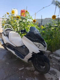 فورزه • 09 • شغاله