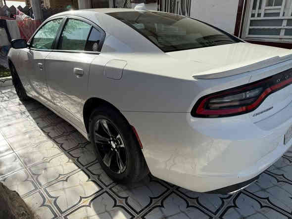 للبيع السعر 175 اتصل *********** معلايه 16)(22  المكان الجبايش ذي قار
