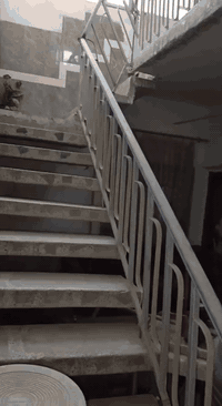 للبيع مستعجل جدا لغرض العلاج دار تجاري طابو صرف في منطقة كويريش
1- طابو صرف 🏫
2 - المساحة 200 م❤
3- يحتوي 8 غرف نوم 🌠
4- يحتوي عل شقه سكنيه في الطابق الثالث 💕
5- بيت ركن 🤫
6- يحتوي البيت على مدخلين 😍
7- التواصل مباشر مع صاحب العقار بدون دلال 
***********
