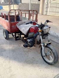 ستوته • MTR • ما بيها اوراق