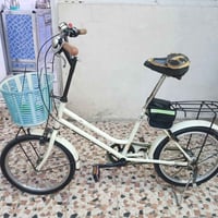 محمودية • حجم ٢٠ • برجستون ياباني