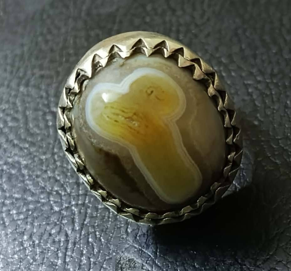 سليماني قديم مصور البيع مكلف بل نشر ***********
