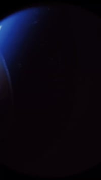 ماكس منغولي • بستم مبدل • ام العصافير