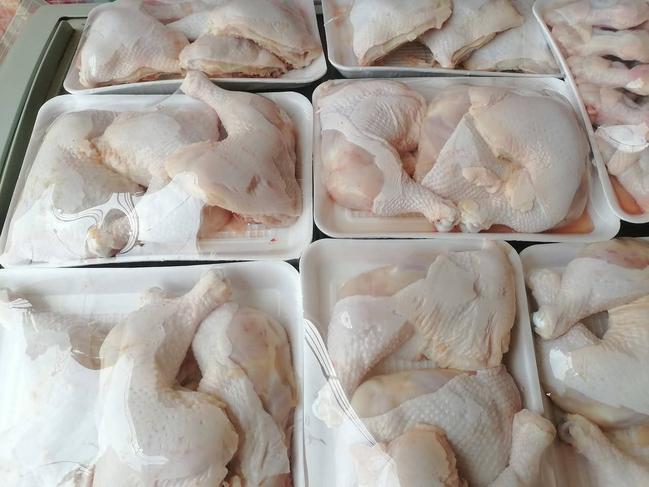 مرحبا زبائنا عروض غدا
تقطيع
افخاذ ٥٥٠٠
صدر مسحب ٦٥٠٠
اجنحه ٥٠٠٠
صدر بعضمه ٦٠٠٠
كبد صافي ٥٠٠٠ 
كبد وحواصل ٤٠٠٠ 
ركب ٢٠٠٠ 
عصا الطبل ٦٠٠٠ 
عنوان ابو جوعانه مجاور قصابيه بابل مجاور جود ستوري ليسه لدينا فرع اخر 
توجد خدمت توصيل مجاني الي يحب يتصل او يراسلني 
*********** 
***********
