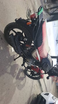 مطلوب • بوكسر • ٢٢