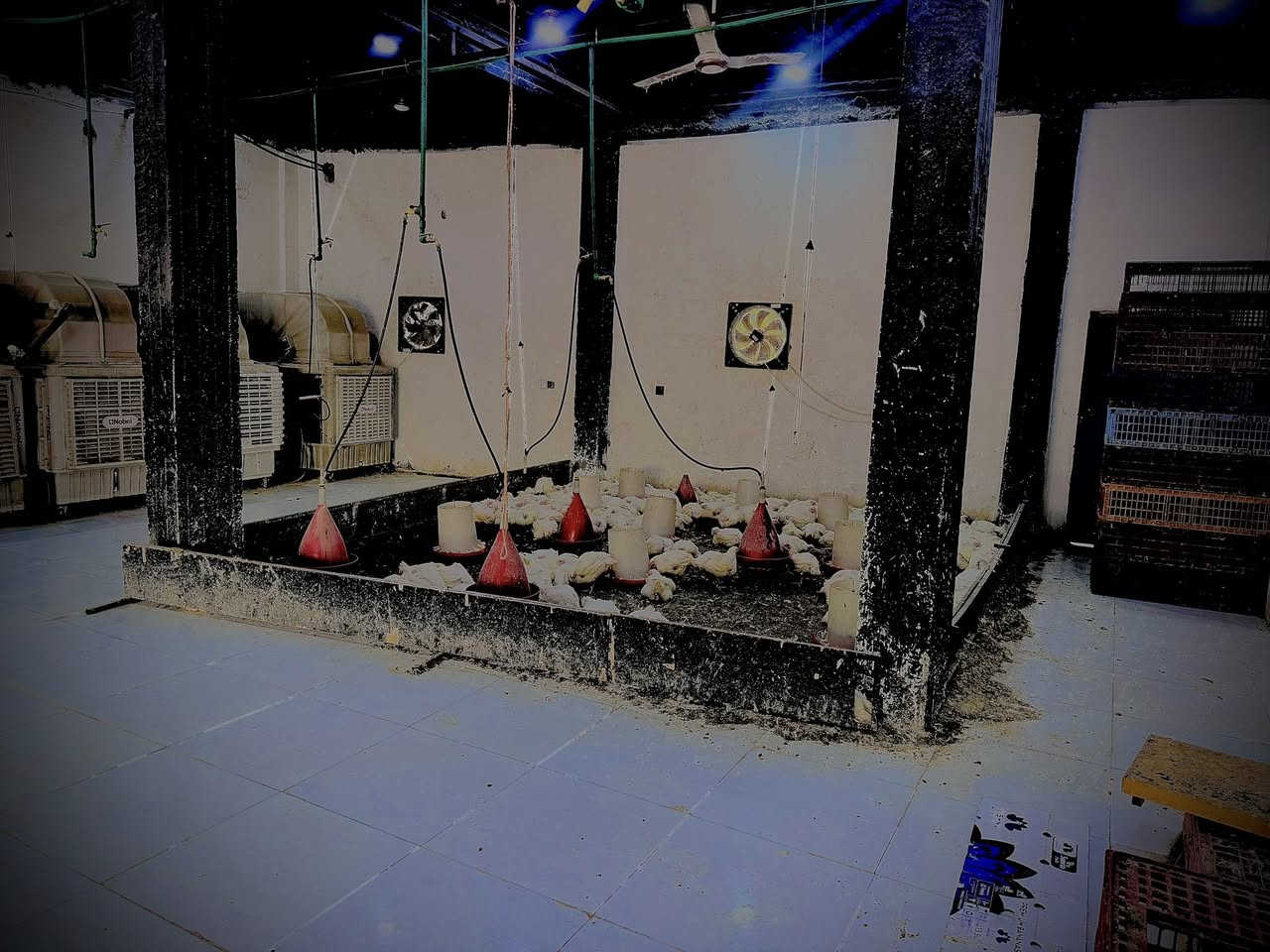 سلام عليكم مجمع لبيع والله خير من الله بس انه عندي مجمع ثاني ماكدر اتفرغله كامل جاهز إيجاره مناسب 
ومشروط الشغل اكعد وشوف بعينك 
مكان الفداء شارع أبو لبنان  ناهيت الشارع 
موقعه كلش حلو بين مجمعين غذائه ومخضر 
تفاصيل***********
