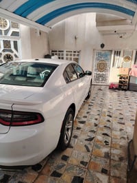 جارجر • ٢٠١٥ • كفاله عامه