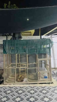 قفص درجة أولى • ٢م×٢م×١٫٢٥م • ٩ بقالات