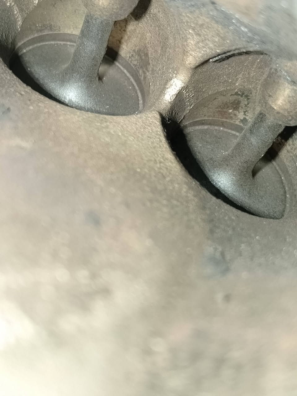 ادامة محرك النترا 2012 بتاريخ الاثنين 2026/2/23
1 / تنضيف غرف الاحتراق الولفات بمادة قشور الجوز  💥
2 / فحص النوزلات +واشرات+فايبرات  ✅
3 / فحص المجاول خارجيا بجهاز           ✅
4 / فحص الفيت بم وخط الراجع بالجهاز.✅
5 / فتح وتبديل البلكات       .      ✅
6 / تنضيف الجويتر مع البرمجة.  ✅
7 / تنضيف حساسات الكام شفت ✅
8 / تنضيف حساسات. VVT.       ✅
9 / فحص حساس الاوكسجين     ✅
10/ تنضيف. ولف التبخير            ✅
11/ تنضيف سطح المحرك بفوم   ✅
12/ برمجة السيارة بعد العمل  💛👍

مركز المصطفى لبرمجة وادامة السيارات 
بأدارة مصطفى الموسوي. ***********

سيارات الاربعة سلندر 50 الف 
سيارات الستة سلندر.  65 الف
