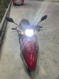 دراجة بريز • لون دم الغزال • بغداد الوقف السني