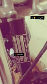 نتنس 26 • معمره • هبهب