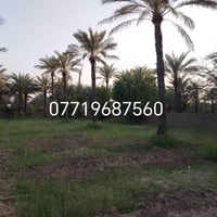 اخوان للبيع أربع دوانم  بستان طابو سند ٢٥ كاملة البستان صايرة على شارع...